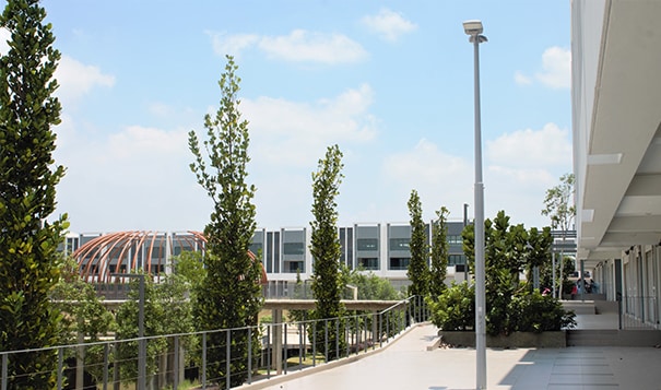 street light with smart control system