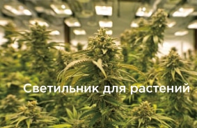 Светильник для растений