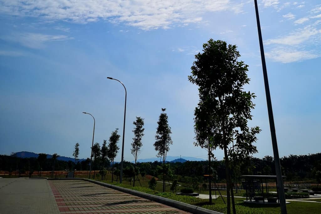 Уличные светодиодные фонари мощностью 100 Вт поставщик