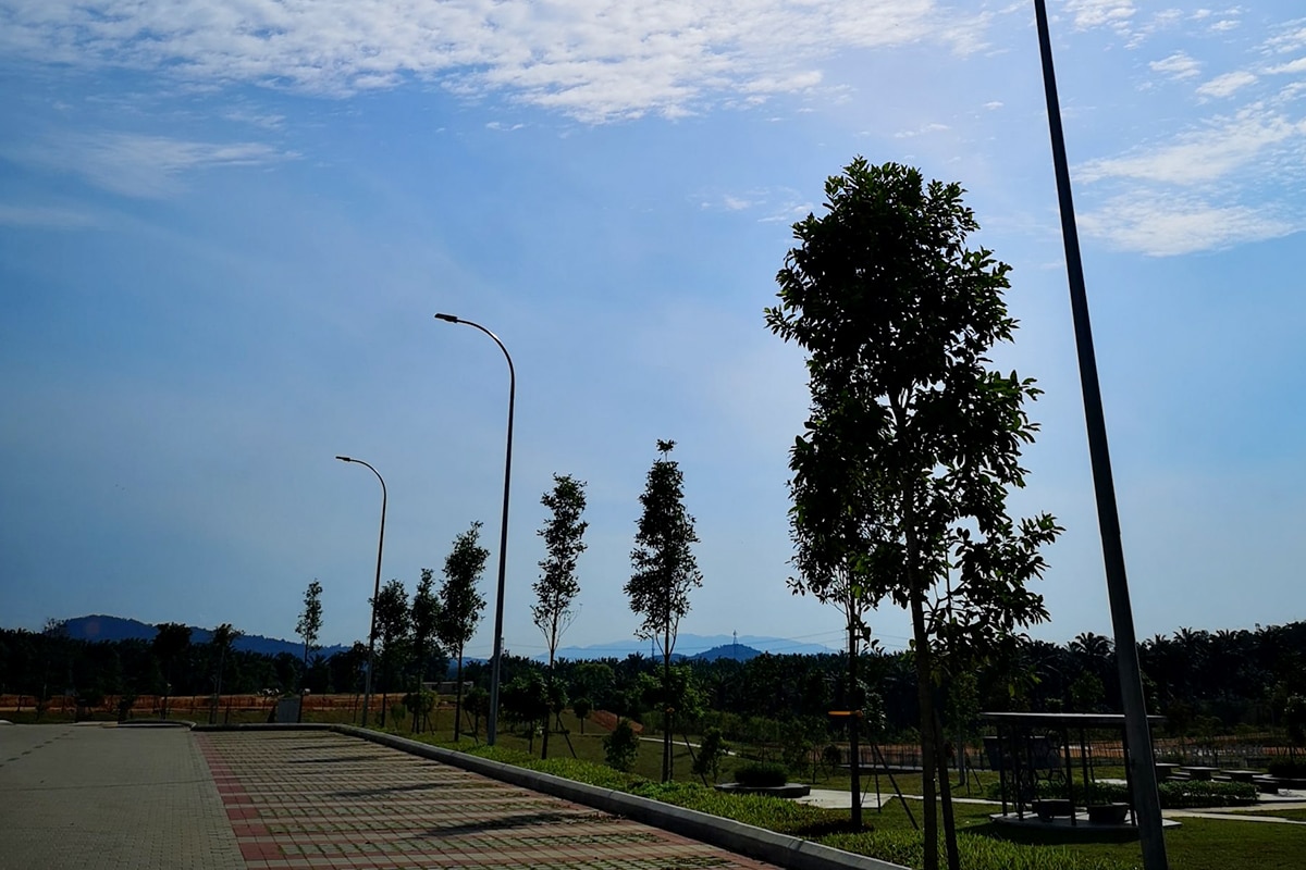 Уличные светодиодные фонари мощностью 100 Вт поставщик